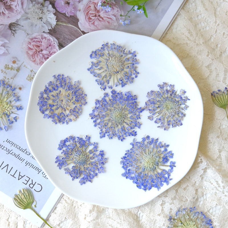 12 fleurs de perles d'émeraude - Dried Flower Bookmark avis et prix