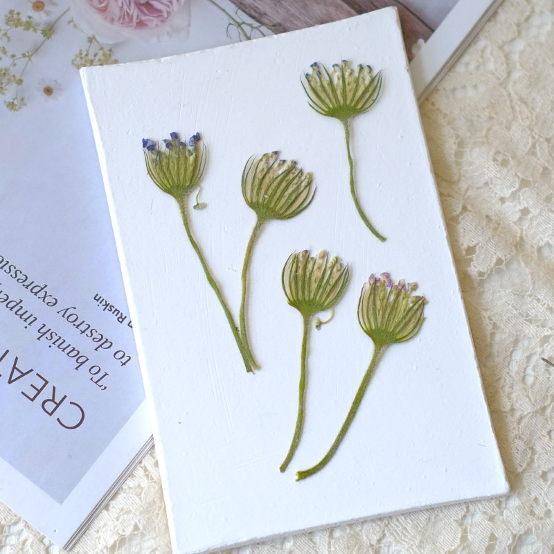 12 fleurs de perles d'émeraude - Dried Flower Bookmark avis et prix