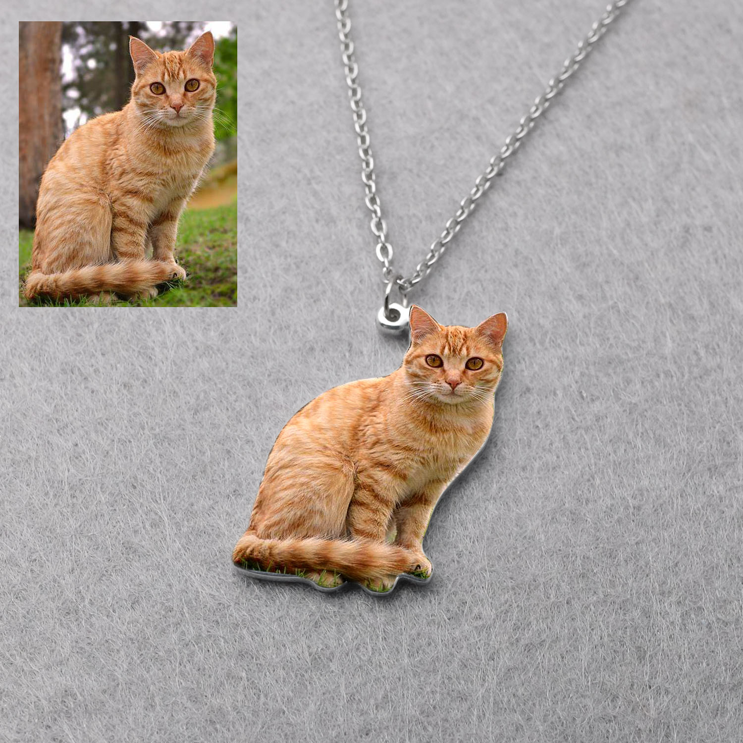 Collier personnalisé avec phot - Pet Portrait Custom avis et prix